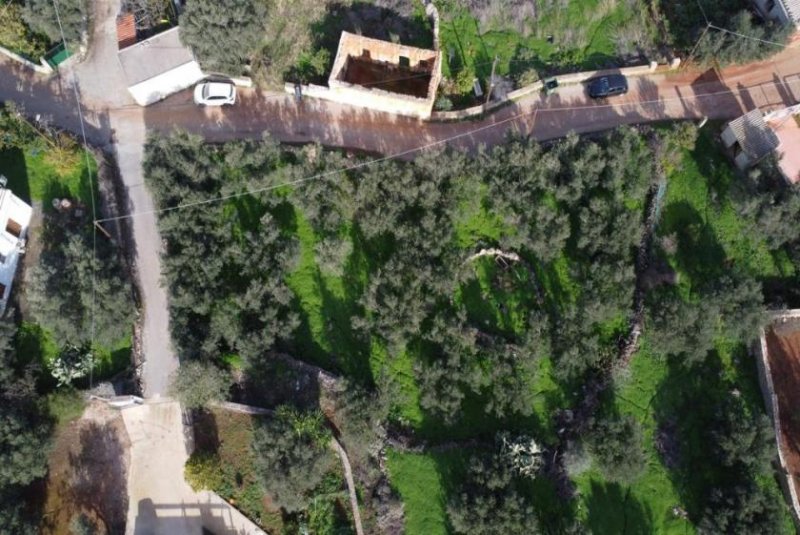 Kokkino Chorio Kreta, Kokkino Chorio: Eckgrundstück in der Nähe des Dorfes und der Einkaufsmöglichkeiten zu verkaufen Grundstück kaufen